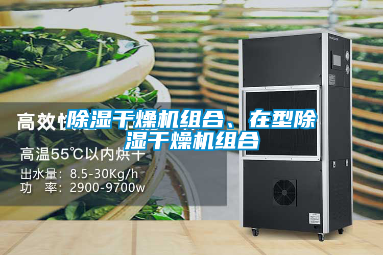 除濕干燥機(jī)組合、在型除濕干燥機(jī)組合