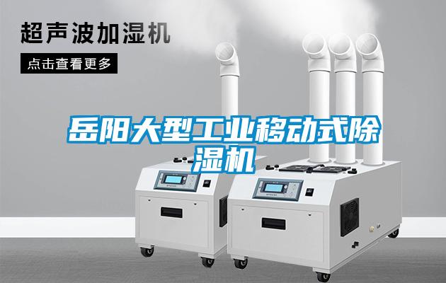 岳陽大型工業(yè)移動式除濕機(jī)