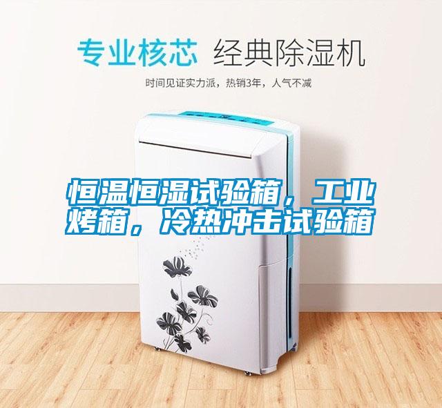 恒溫恒濕試驗箱，工業烤箱，冷熱沖擊試驗箱