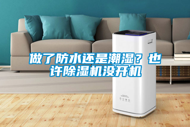 做了防水還是潮濕？也許除濕機(jī)沒開機(jī)