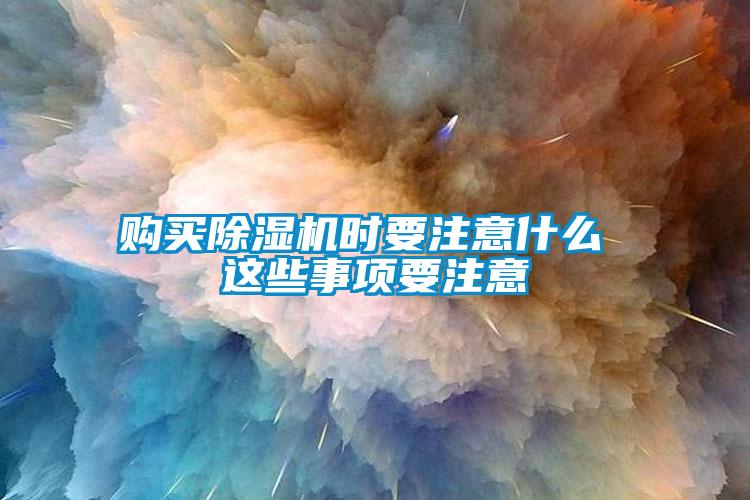 購(gòu)買除濕機(jī)時(shí)要注意什么 這些事項(xiàng)要注意