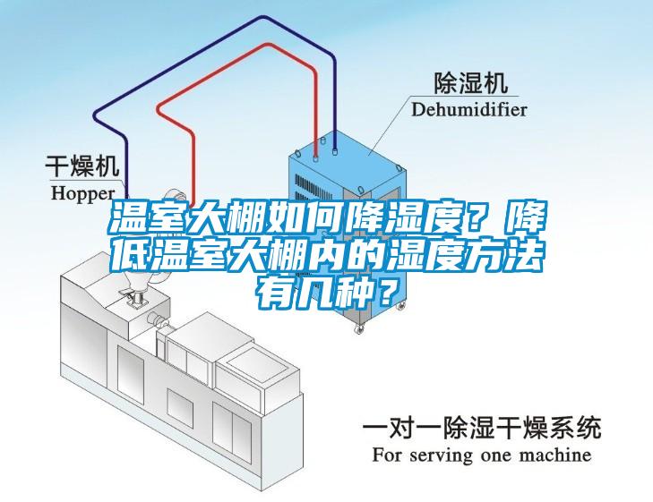 溫室大棚如何降濕度？降低溫室大棚內(nèi)的濕度方法有幾種？