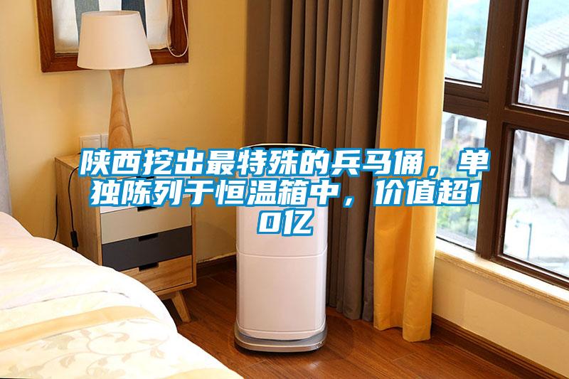 陜西挖出最特殊的兵馬俑，單獨陳列于恒溫箱中，價值超10億
