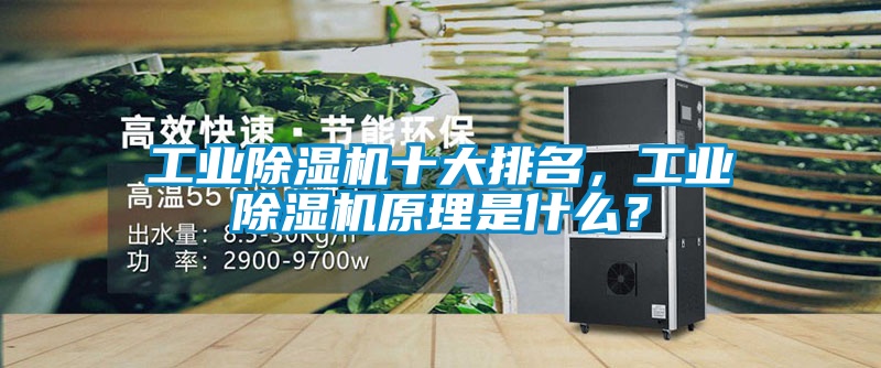 工業(yè)除濕機(jī)十大排名，工業(yè)除濕機(jī)原理是什么？