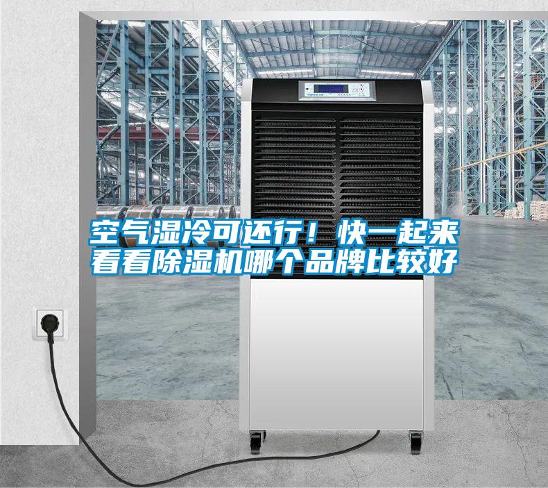 空氣濕冷可還行！快一起來(lái)看看除濕機(jī)哪個(gè)品牌比較好