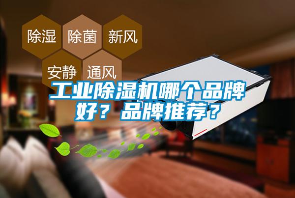 工業(yè)除濕機(jī)哪個(gè)品牌好？品牌推薦？