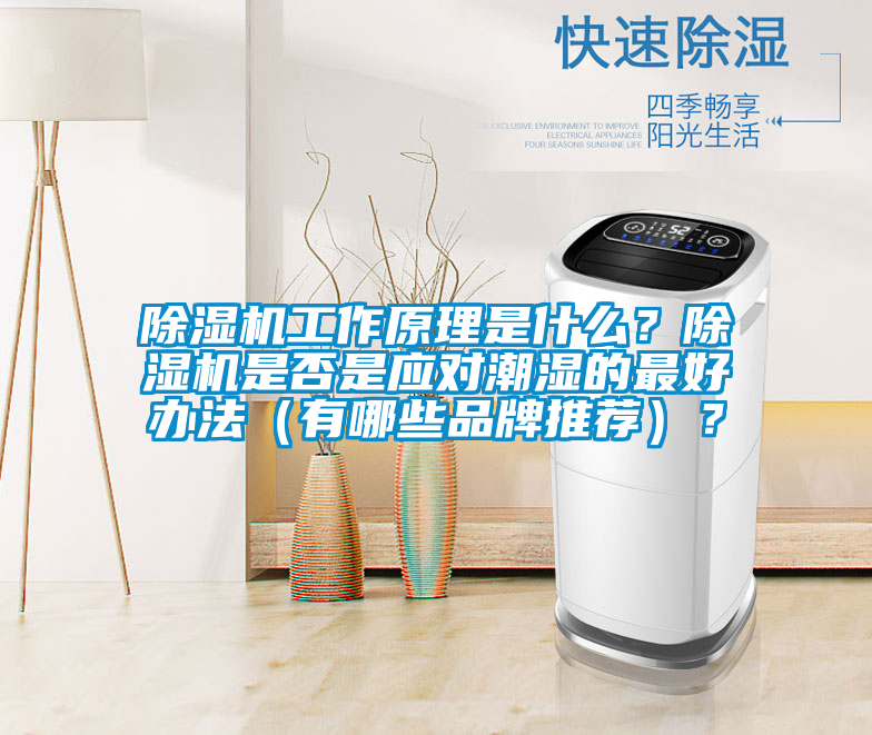 除濕機工作原理是什么？除濕機是否是應(yīng)對潮濕的最好辦法（有哪些品牌推薦）？