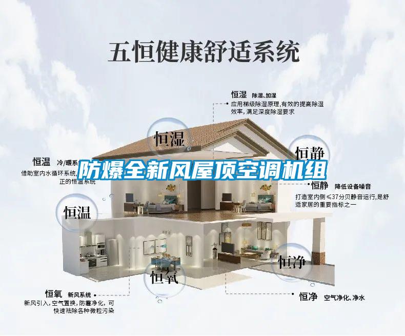 防爆全新風屋頂空調(diào)機組