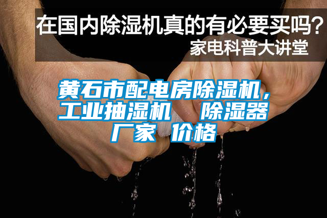 黃石市配電房除濕機(jī)，工業(yè)抽濕機(jī)  除濕器廠家 價(jià)格
