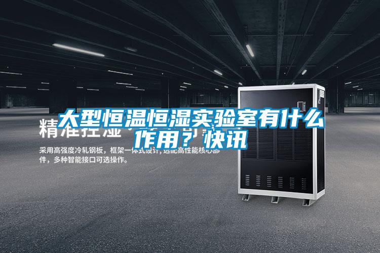 大型恒溫恒濕實(shí)驗(yàn)室有什么作用？快訊