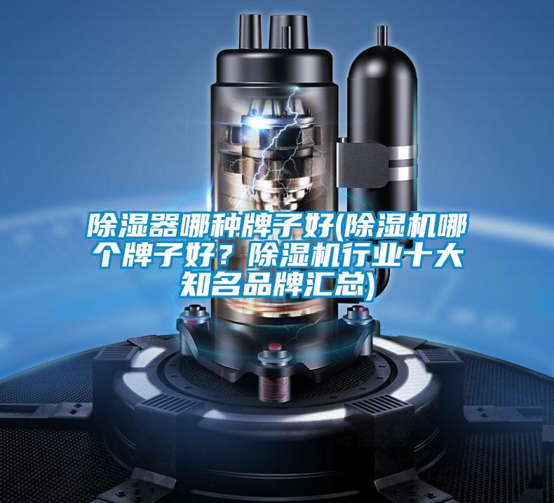 除濕器哪種牌子好(除濕機(jī)哪個牌子好？除濕機(jī)行業(yè)十大知名品牌匯總)