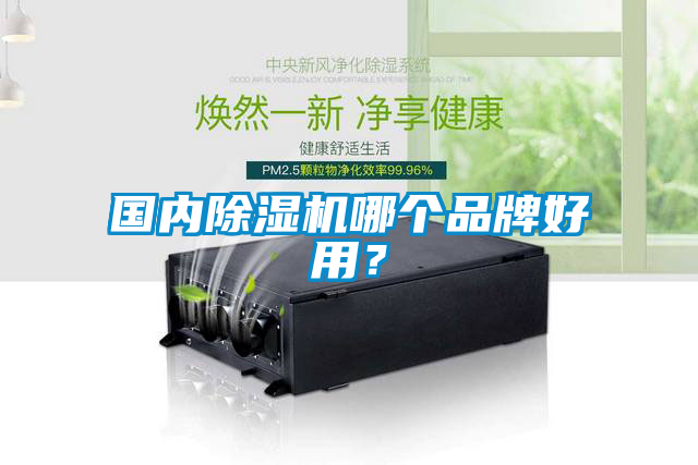 國(guó)內(nèi)除濕機(jī)哪個(gè)品牌好用？