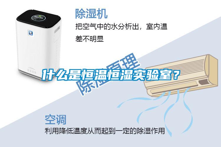 什么是恒溫恒濕實(shí)驗(yàn)室？