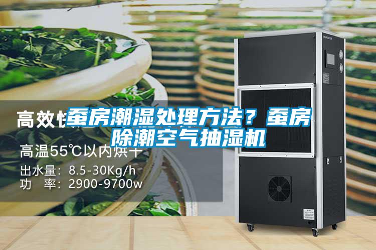 蠶房潮濕處理方法？蠶房除潮空氣抽濕機(jī)