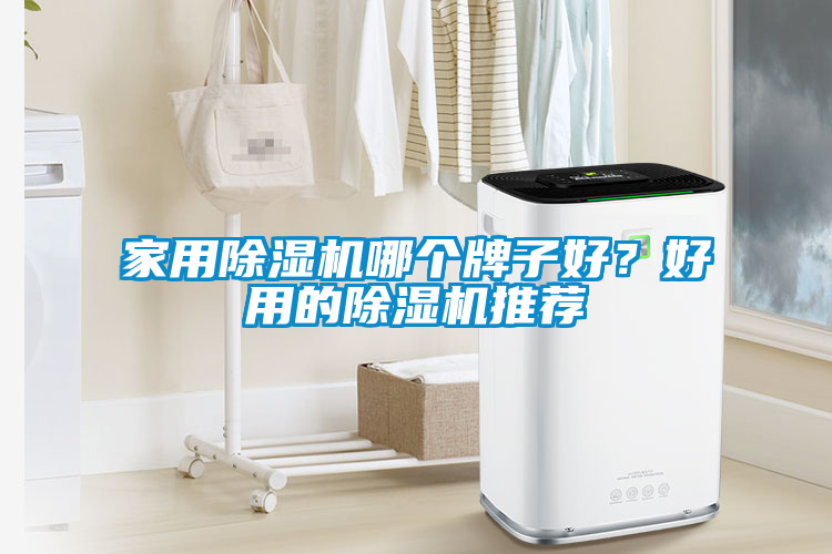 家用除濕機哪個牌子好？好用的除濕機推薦