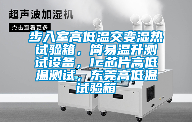 步入室高低溫交變濕熱試驗(yàn)箱，簡(jiǎn)易溫升測(cè)試設(shè)備，ic芯片高低溫測(cè)試，東莞高低溫試驗(yàn)箱