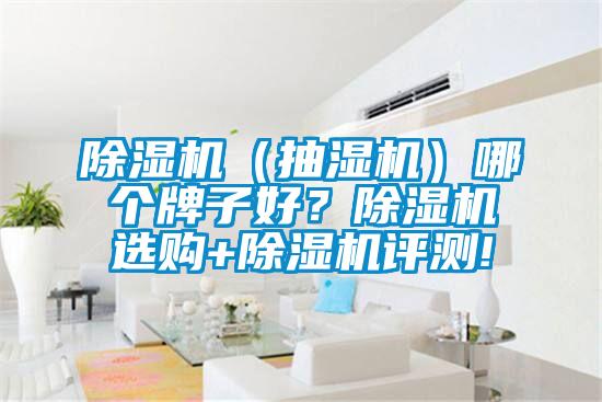 除濕機(jī)（抽濕機(jī)）哪個牌子好？除濕機(jī)選購+除濕機(jī)評測!