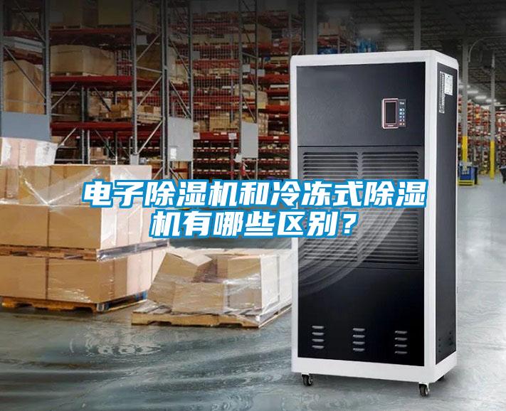 電子除濕機(jī)和冷凍式除濕機(jī)有哪些區(qū)別？