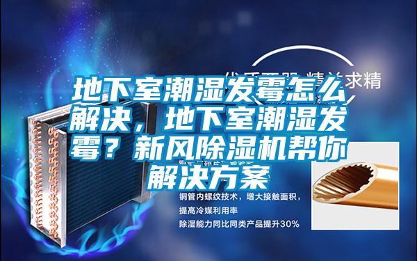 地下室潮濕發(fā)霉怎么解決，地下室潮濕發(fā)霉？新風(fēng)除濕機(jī)幫你解決方案