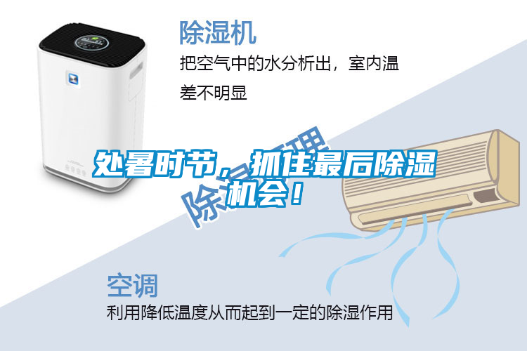 處暑時(shí)節(jié)，抓住最后除濕機(jī)會(huì)！
