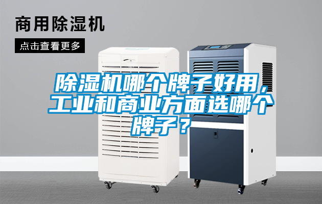 除濕機哪個牌子好用，工業和商業方面選哪個牌子？