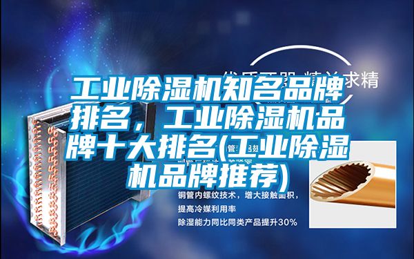 工業(yè)除濕機(jī)知名品牌排名，工業(yè)除濕機(jī)品牌十大排名(工業(yè)除濕機(jī)品牌推薦)