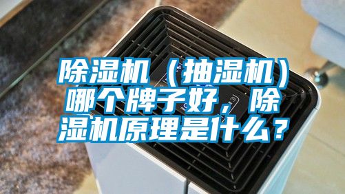 除濕機（抽濕機）哪個牌子好，除濕機原理是什么？