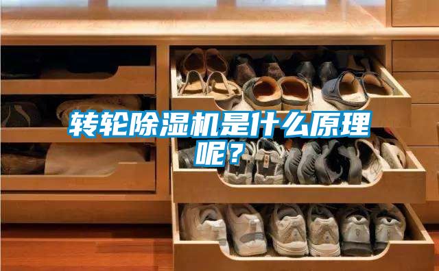 轉(zhuǎn)輪除濕機(jī)是什么原理呢？