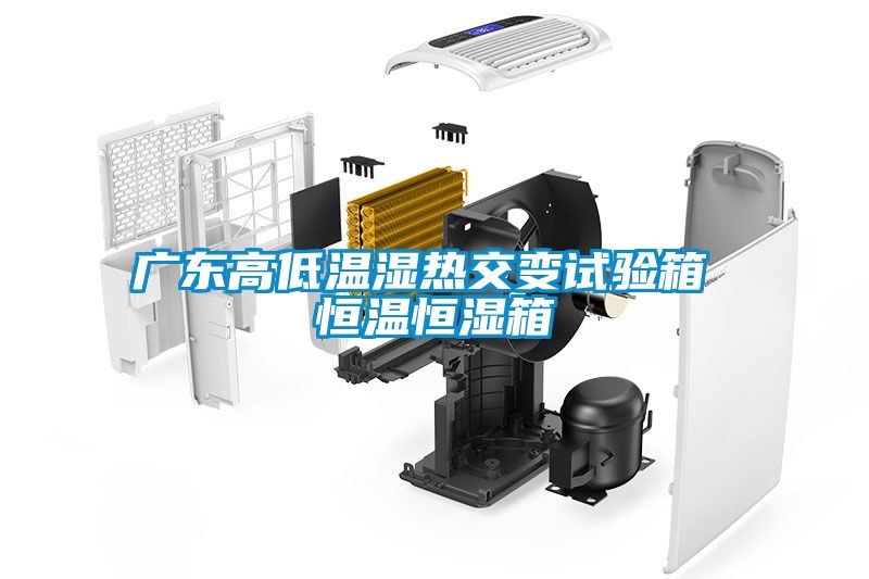 廣東高低溫濕熱交變試驗(yàn)箱 恒溫恒濕箱