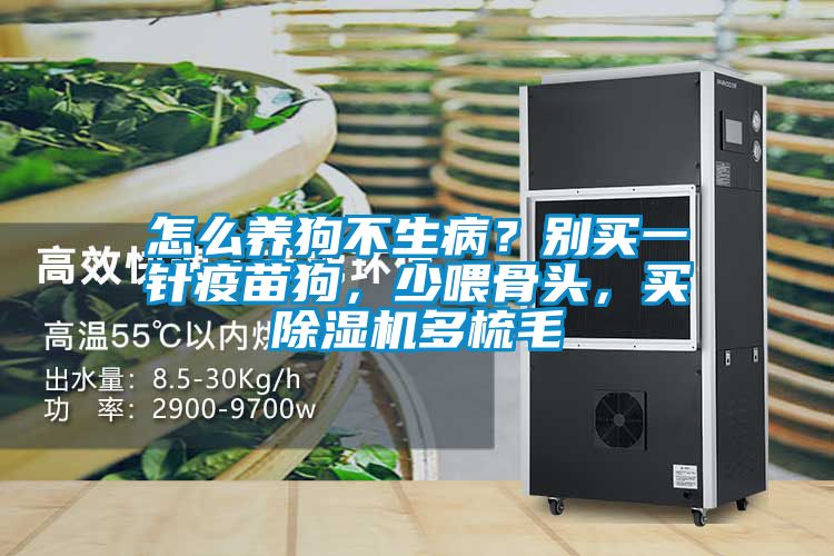 怎么養(yǎng)狗不生病？別買一針疫苗狗，少喂骨頭，買除濕機多梳毛