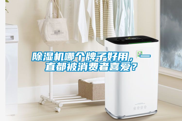 除濕機(jī)哪個牌子好用，一直都被消費者喜愛？
