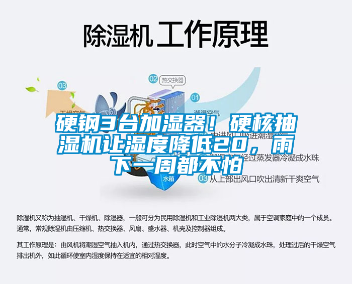 硬鋼3臺(tái)加濕器！硬核抽濕機(jī)讓濕度降低20，雨下一周都不怕