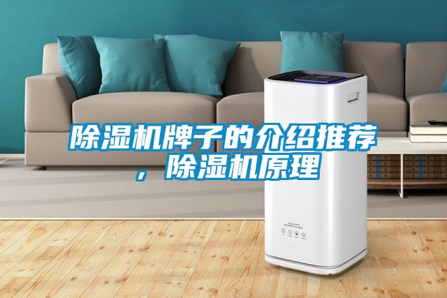 除濕機牌子的介紹推薦，除濕機原理