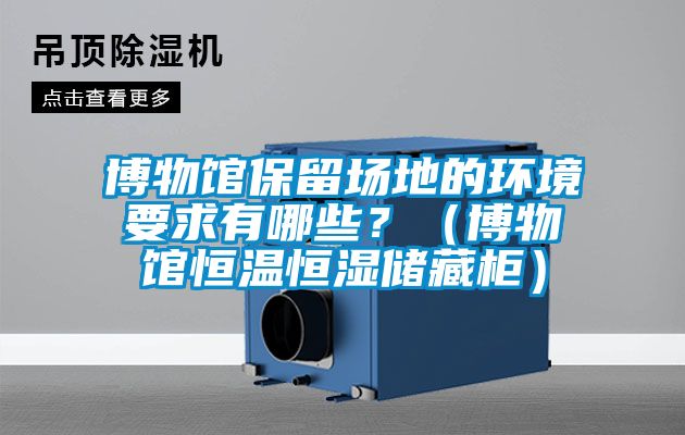 博物館保留場地的環境要求有哪些？（博物館恒溫恒濕儲藏柜）