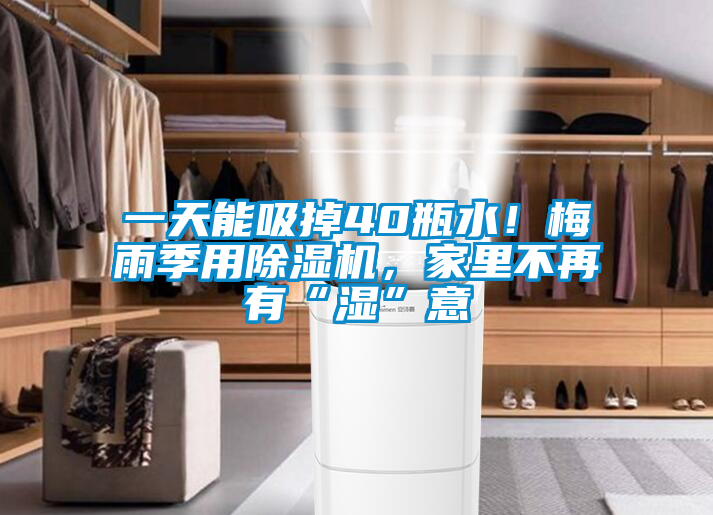 一天能吸掉40瓶水！梅雨季用除濕機(jī)，家里不再有“濕”意