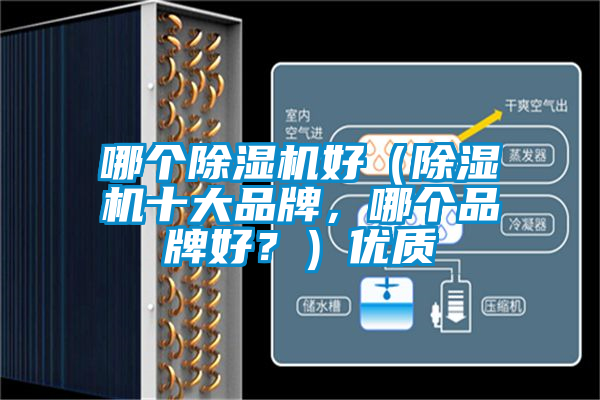 哪個(gè)除濕機(jī)好（除濕機(jī)十大品牌，哪個(gè)品牌好？）優(yōu)質(zhì)