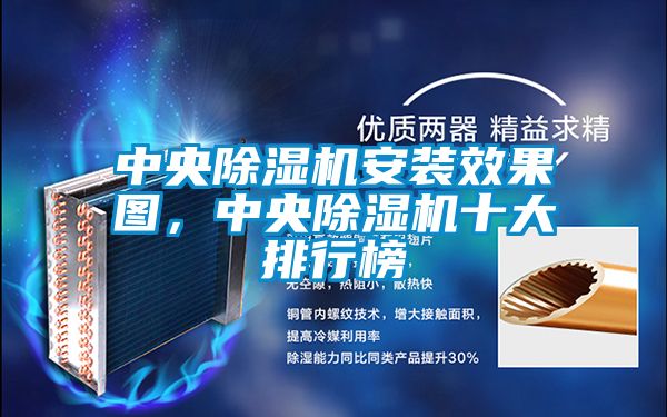 中央除濕機安裝效果圖，中央除濕機十大排行榜