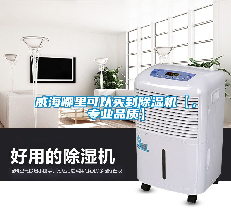 威海哪里可以買到除濕機(jī)【，專業(yè)品質(zhì)】