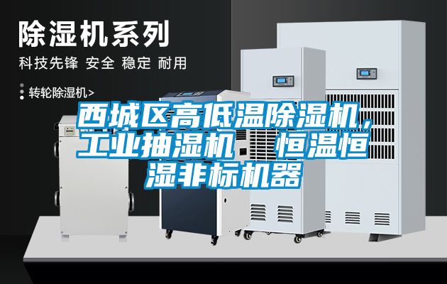 西城區(qū)高低溫除濕機，工業(yè)抽濕機  恒溫恒濕非標機器
