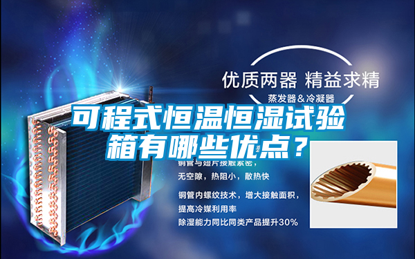 可程式恒溫恒濕試驗箱有哪些優(yōu)點？