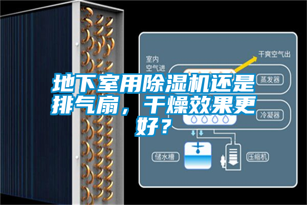 地下室用除濕機(jī)還是排氣扇，干燥效果更好？