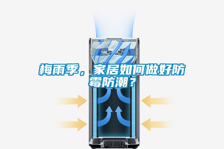 梅雨季，家居如何做好防霉防潮？
