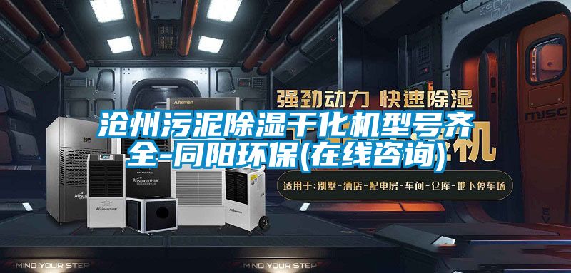 滄州污泥除濕干化機(jī)型號(hào)齊全-同陽環(huán)保(在線咨詢)