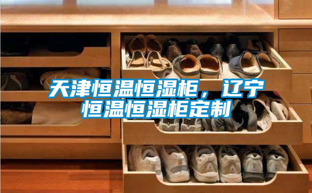 天津恒溫恒濕柜，遼寧恒溫恒濕柜定制