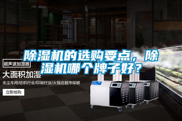 除濕機(jī)的選購要點(diǎn)，除濕機(jī)哪個牌子好？