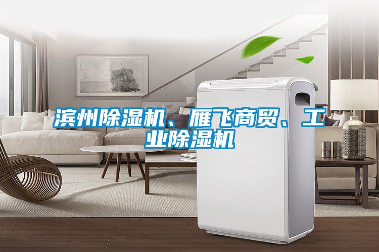 濱州除濕機、雁飛商貿(mào)、工業(yè)除濕機