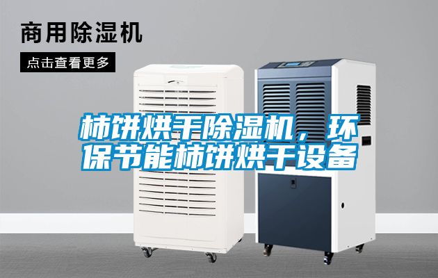 柿餅烘干除濕機，環保節能柿餅烘干設備