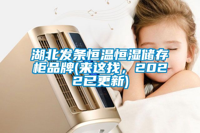 湖北發(fā)條恒溫恒濕儲存柜品牌(來這找，2022已更新)