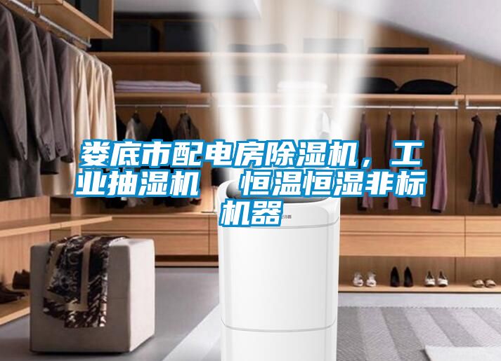 婁底市配電房除濕機，工業(yè)抽濕機  恒溫恒濕非標機器