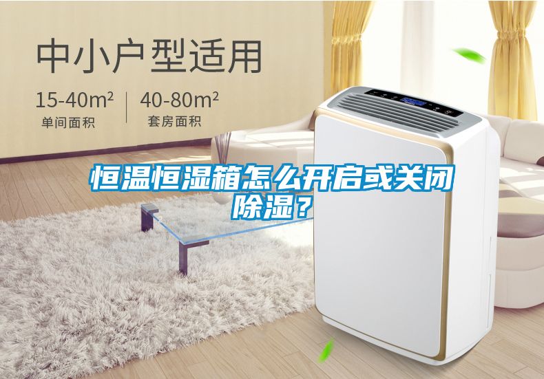 恒溫恒濕箱怎么開啟或關閉除濕？